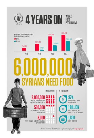 Syria Fifth Year Infographic