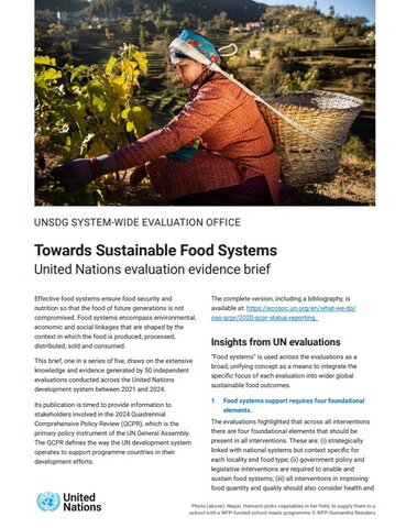 Cover of food systems brief