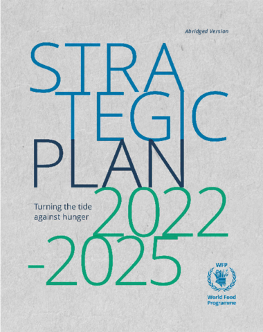 How Can Peacekeeping Operations Strengthen Strategic Planning? The