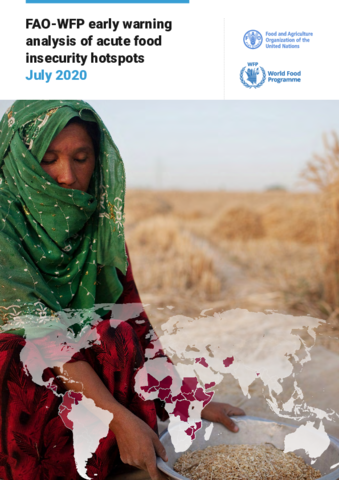 FAO-WFP Early Warning Analysis Of Acute Food Insecurity Hotspots ...