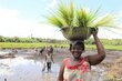 Woman with a big bowl on her head