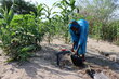 A WFP resilience project in the Lake Chad area of Chad. Photo: WFP/Asma Achahboun