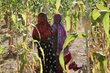 Female farmers involved in a WFP resilience-building program in Chad. Photo: WFP/Asma Achahboun