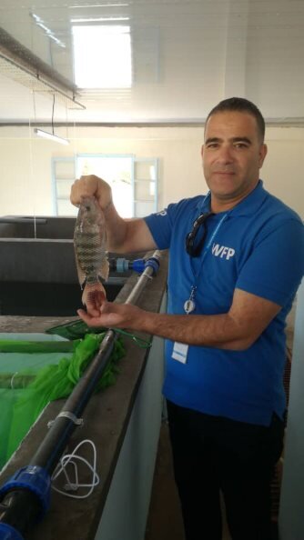 Photo: WFP/  Wafaa Soussi,  fish farm in Algeria’s Tindouf refugee camps