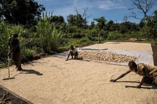 Photo: WFP/ Gabriela Vivacqua, Smallholder farmers sun-dry dehulled maize grain in Yambio, South Sudan