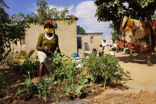 WFP Zimbabwe