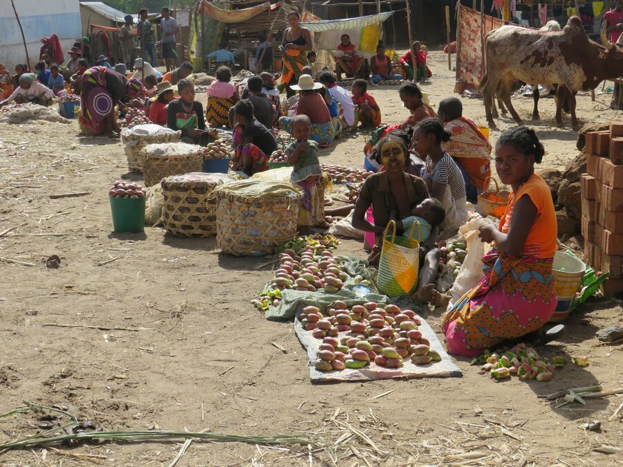 how-drought-is-pushing-more-people-into-hunger-in-southern-madagascar