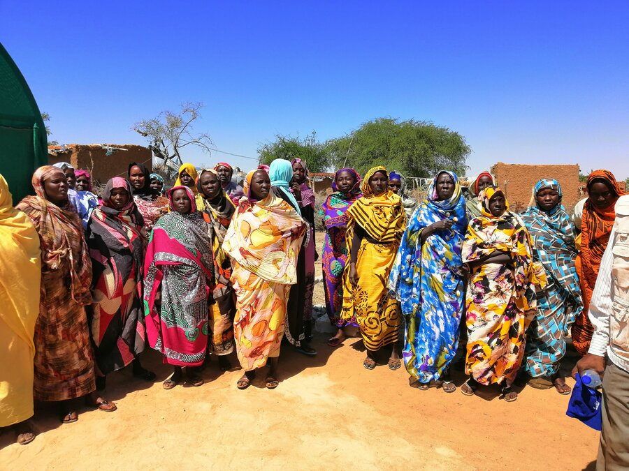 Growing plants without soil in Sudan | World Food Programme