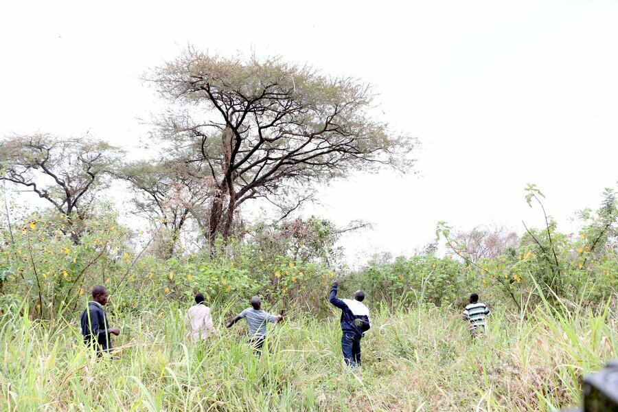 SouthSudan locusts farmers