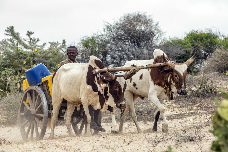 madagascar drought