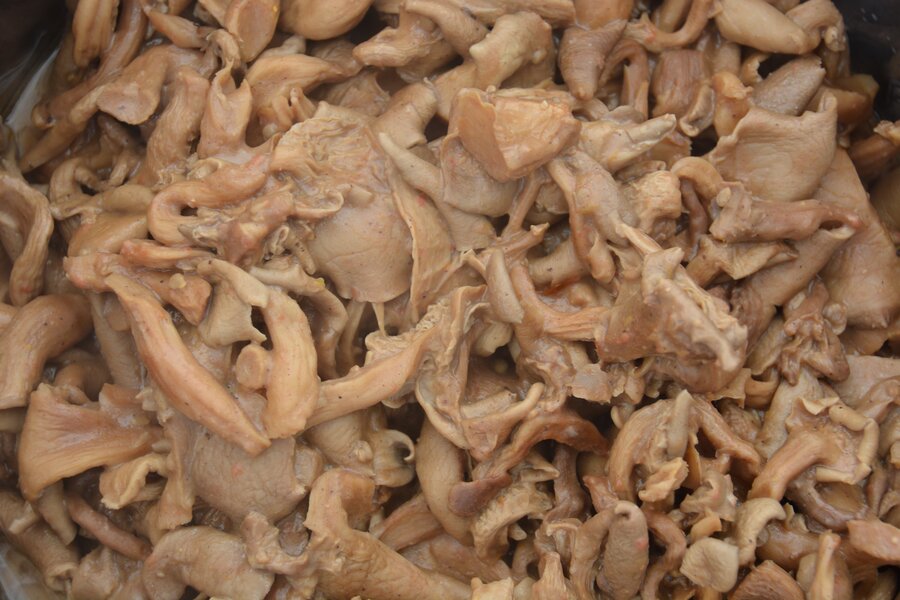 dried mushroom with peanut butter