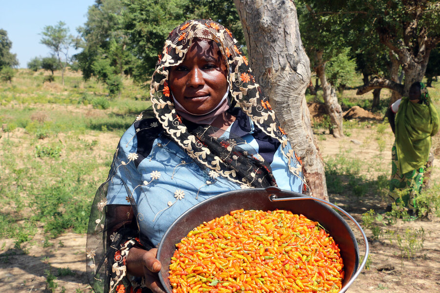 Cameroon: Women's cooperatives create 'family' bonds amid crisis