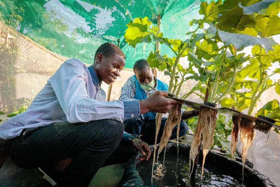 A WFP staff member teaching a boy about hydroponic gardening. 