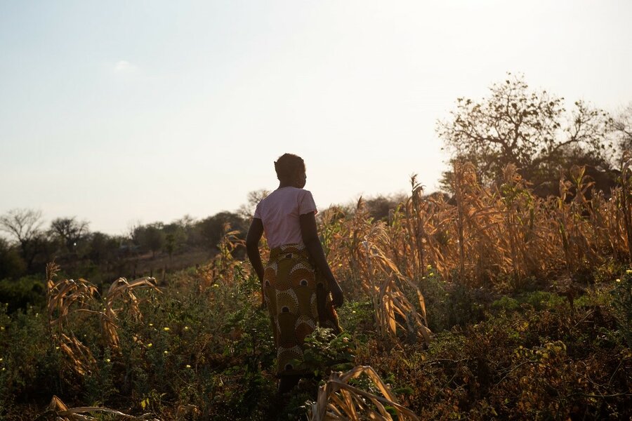 A woman in a field.