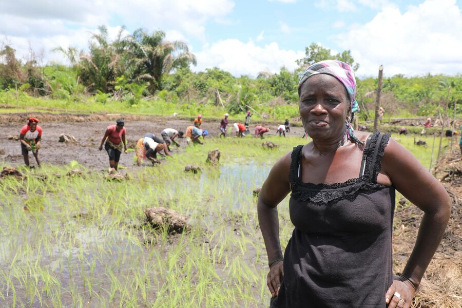 Small holder farmer women on the field 