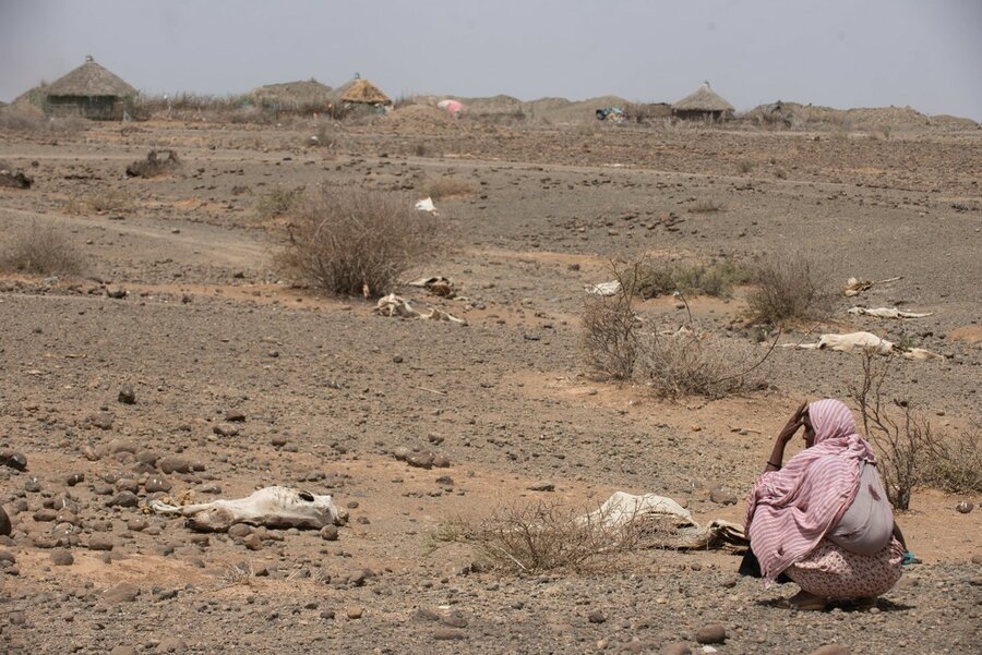 Ethiopia: WFP Responds As The Worst Drought In A Lifetime Intensifies ...