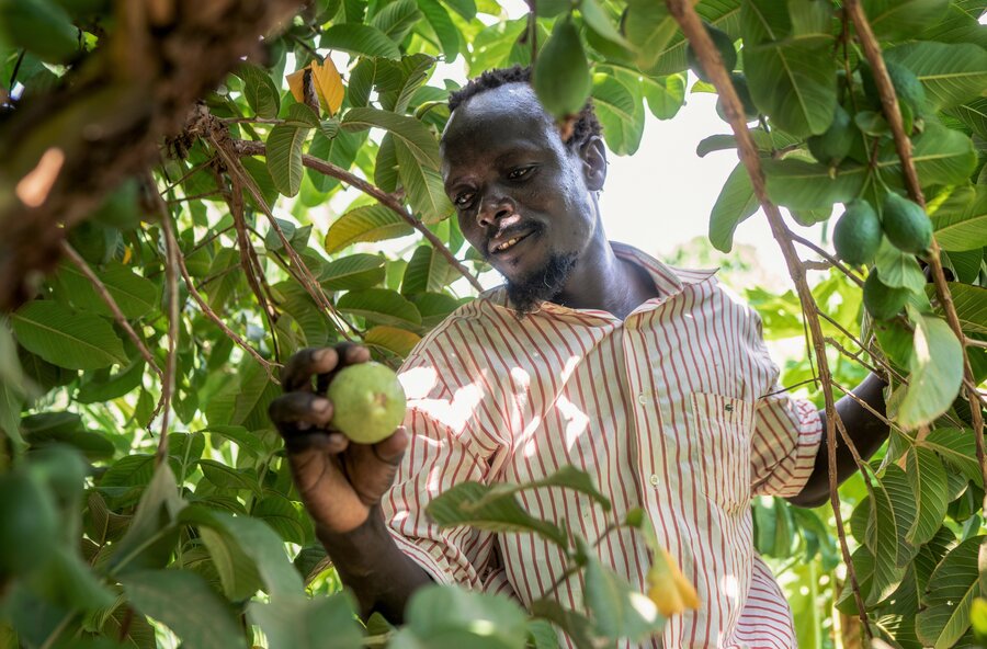 Photo: WFP/Fredrik Lerneryd