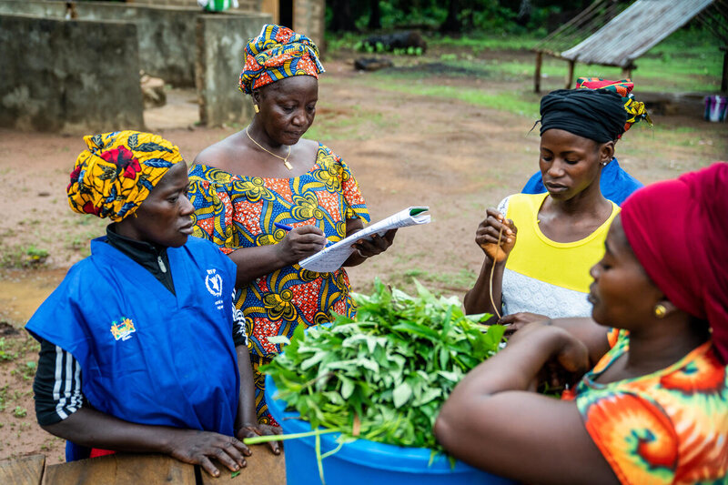 Smallholder farmers deliver their daily harvest of potato leaves to KDC Primary School head mistress. The vegetables are used in the homegrown school feeding program which provides one hot meal every day to students in the shcool. 