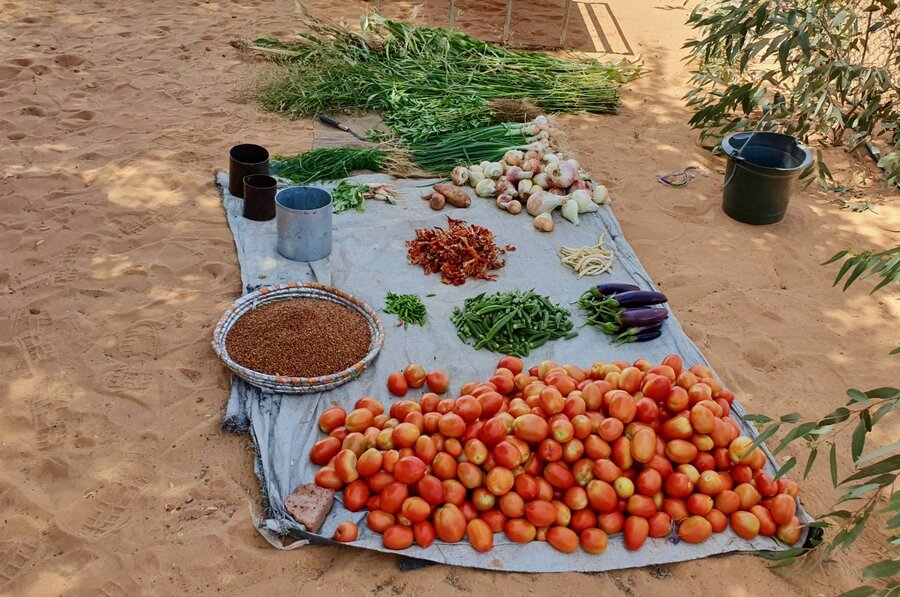 Fresh vegetables from a school garden in Sudan's Darfur region - grown with WFP supported solar water-pumping system. When children are on vacation, teachers sell the produce to buy school books. Photo: WFP/Sudan