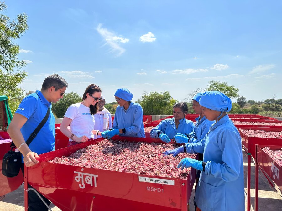 Women operate the S4S solar drying machines for their produce