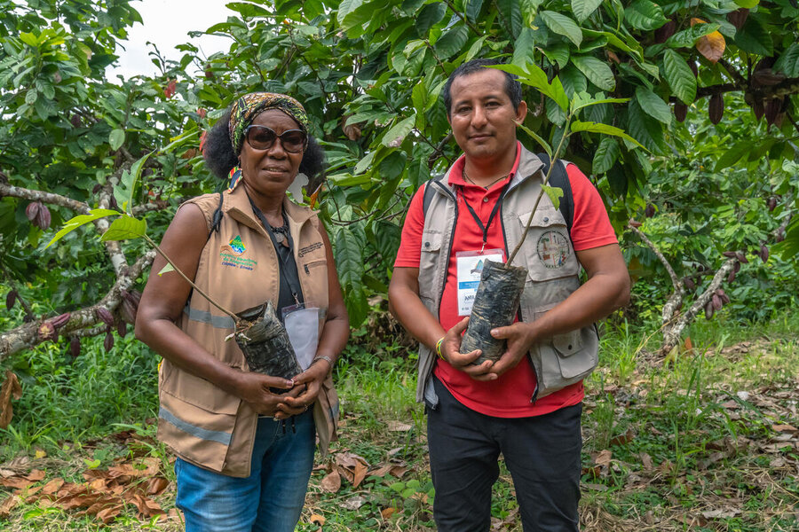 Afro-descendant woman and Indigenous Awa man hold young mangrove plants 