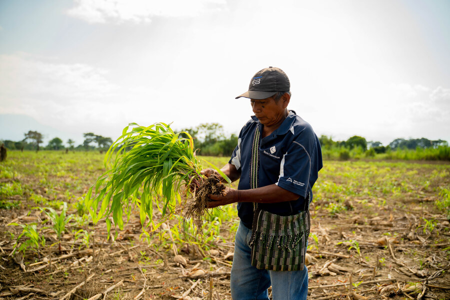 WFP is working with famers like this man in Guatemala to strengthen their resilience to weather extremes. Photo: WFP/Alejandro Arriola