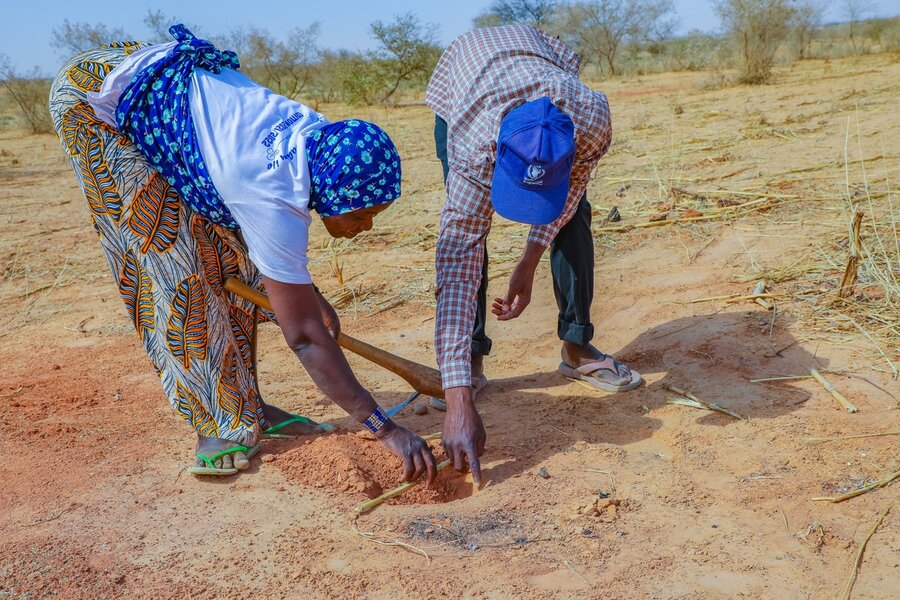 A WFP employee in Niger shows this farmer how to help restore degraded lands. Photo: WFP/Adamou Sani Dan Salaou