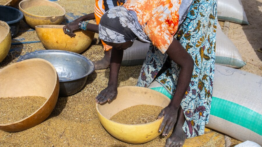 A women winnows and later repackages cowpea and millet that are sold to WFP for programmes like Niger's school feeding. Photo: WFP/Adamou Sani Dan Salaou