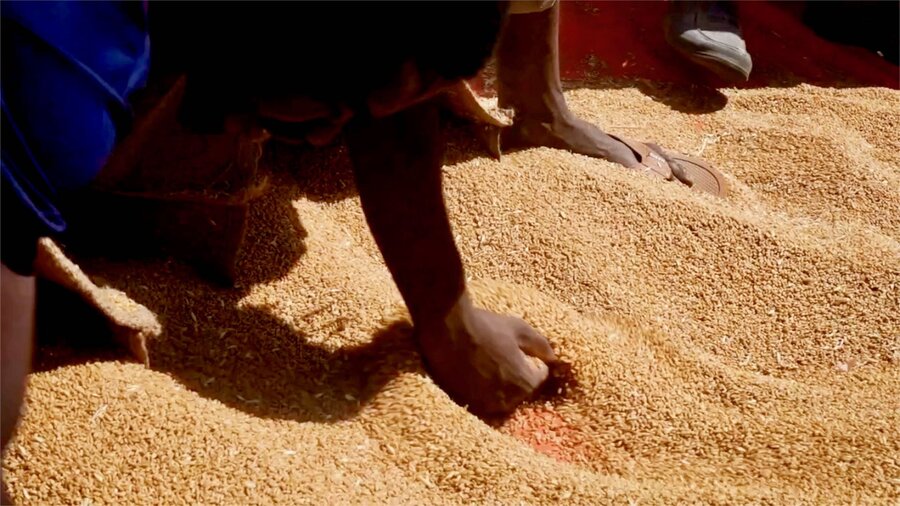 Wheat farmers check their harvest that helps to feed a hungry nation. Photo: WFP/Abubakar Garelnabei