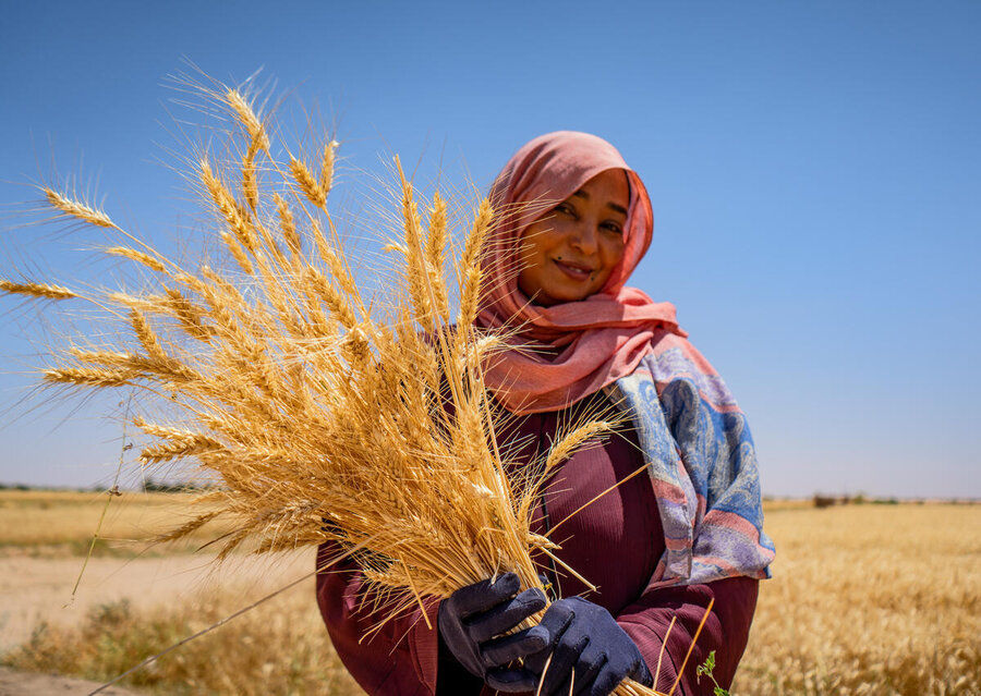 Hajer is another wheat farmer who fled Sudan's conflict-battered capital Khartoum. Photo: WFP/Abubakar Garelnabei