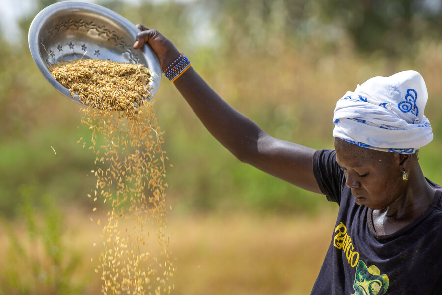 Woman sifting rice in a field