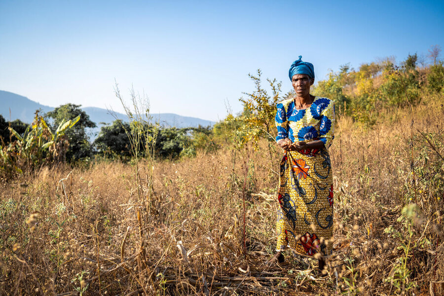 while inspecting her wilted crop, Ethel (not supported by WFP) walks through her drought-affected farm. Ethel, with a look of concern, walks through her parched and cracked fields, observing the damage the drought has inflicted on her once-thriving farm.