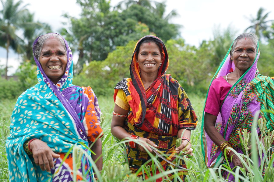 Farmers like these in India's Odisha state are helping cultivate millet's comeback. Photo:WFP/Shyamalima Kalita