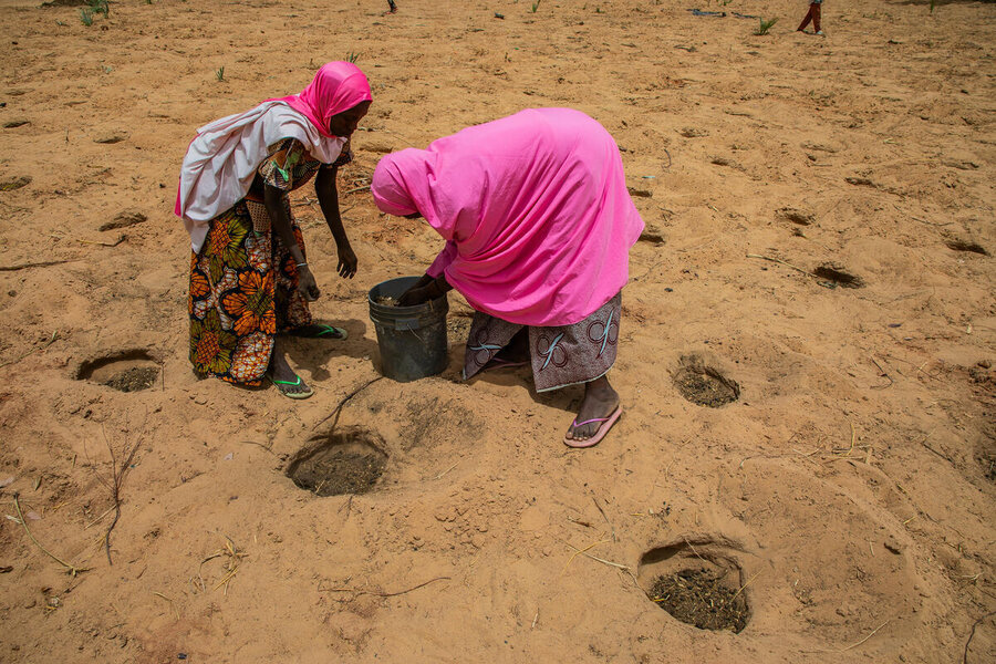 Farmers in Niger participate in a WFP project to trap and keep precious rainwater in the soil. Findings show that most Nigerien communities participating in such resilience-building initiatives didn't need aid during the lean season. Photo: WFP/Amadou Sani Dan Salaou