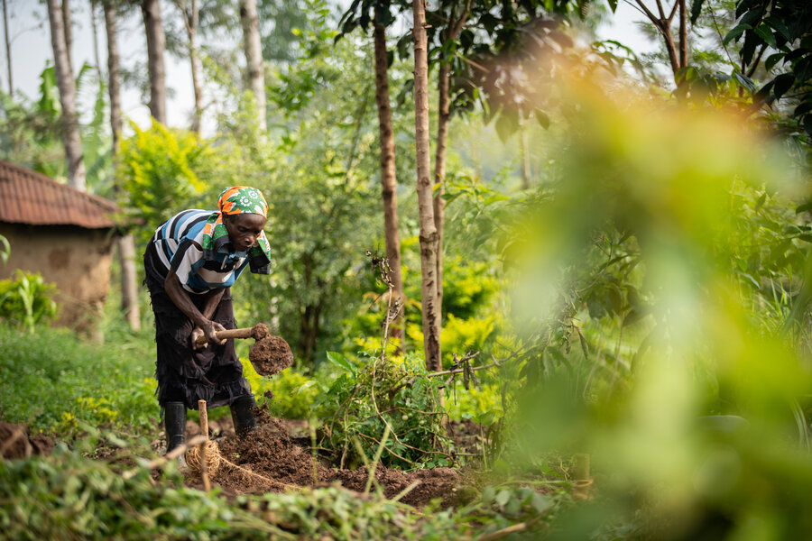 Catherine Wanjala tills her field, now free of parasitic witchweed. Photo: WFP/Lisa Murray