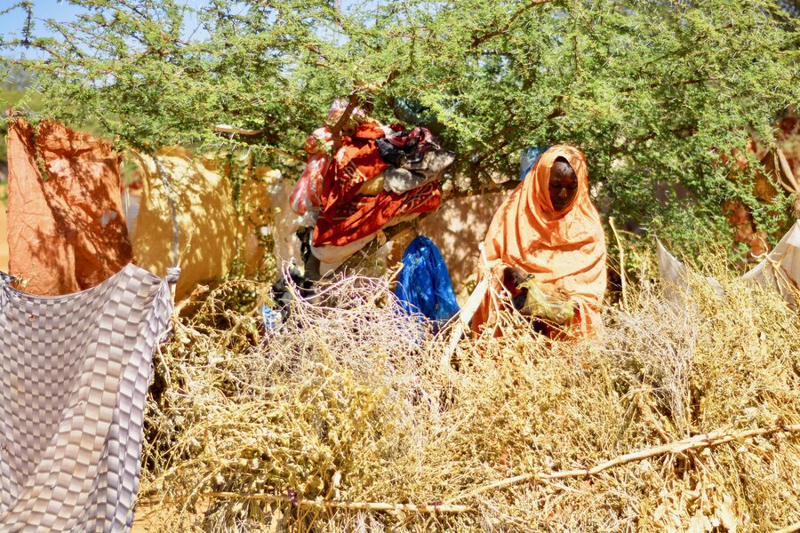 Nour in front of her family's makeshift shelter at Sudan's Zamzam displacement camp, where famine has been confirmed. Photo: WFP/Mohamed Galal