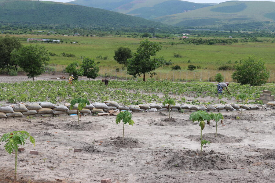 WFP's rural transformation initiative offers farmers ecological agricultural and energy solutions. Photo: WFP/Shelley Thakral