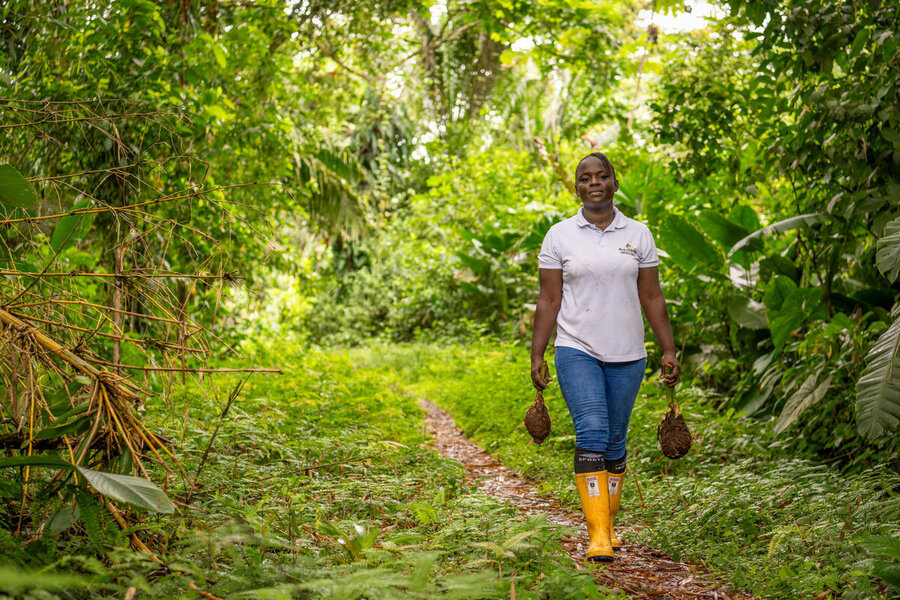 A woman wearing jeans, a white polo shirt and yellow boots walks out of forest area carrying a root plant in each hand