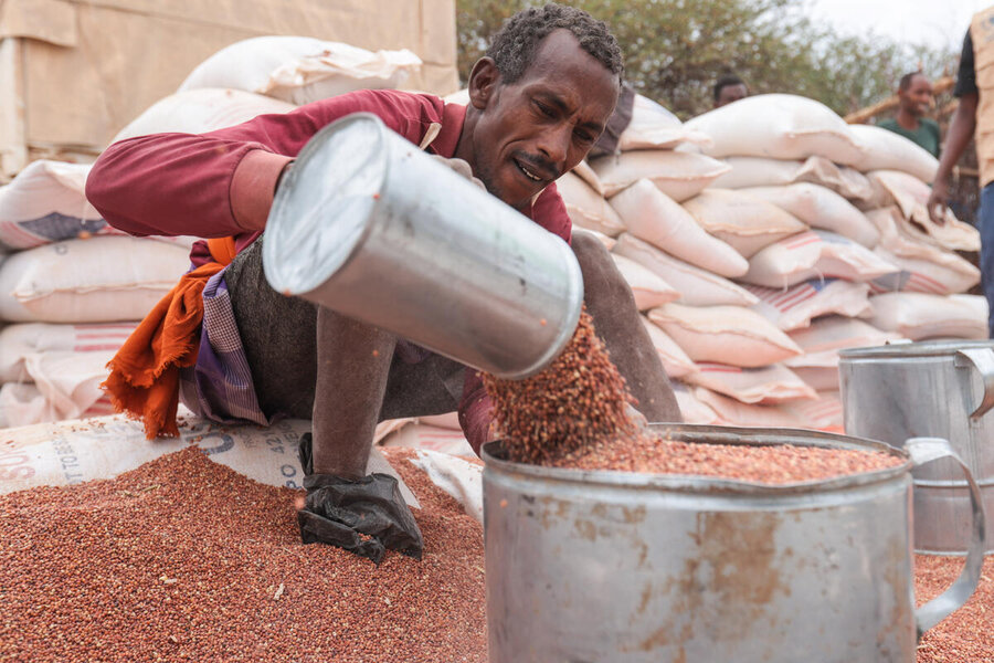 A woman picking tomatoes in a field.