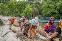 Caption: Women participants of WFP's cash-for-work programme are repairing a mud embankment, which also serves as an access road, to protect crops and livestock from saltwater. They will receive BDT 5,000 for ten days of work building their community's roads and embankments.