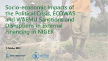 Socio-economic impacts of the Political Crisis, ECOWAS and WAEMU Sanctions and Disruptions in External Financing in Niger