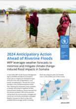 2025 - Anticipatory action in Somalia: evidence and lessons learned from 2023 and 2024 activations