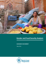 Gender and Markets Initiative for West and Central Africa - Food Security Analysis Tools