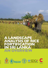 A Landscape Analysis of Rice Fortification in Sri Lanka - an Overview