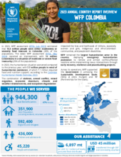 Annual Country Reports - Colombia
