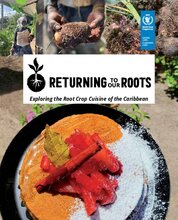 Returning to our roots: Exploring the root crop cuisine of the Caribbean 