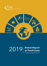 2020 - Global Report On Food Crises | World Food Programme