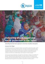 Delivering shock-responsive social protection in the Sahel: Activating the twin-track approach in the face of political disruption (Lessons from Niger)