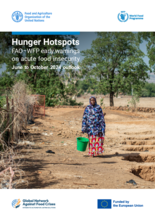 Hunger Hotspots: FAO-WFP early warnings on acute food insecurity, June to October 2024 outlook