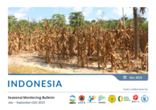 Indonesia - WFP Seasonal Monitoring Bulletin: July-September (Q3) 2023